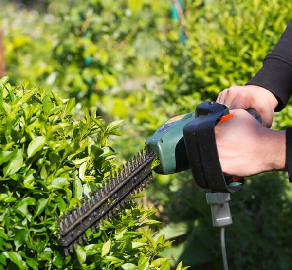 shutterstock_102851351_small_tiny-1000x667